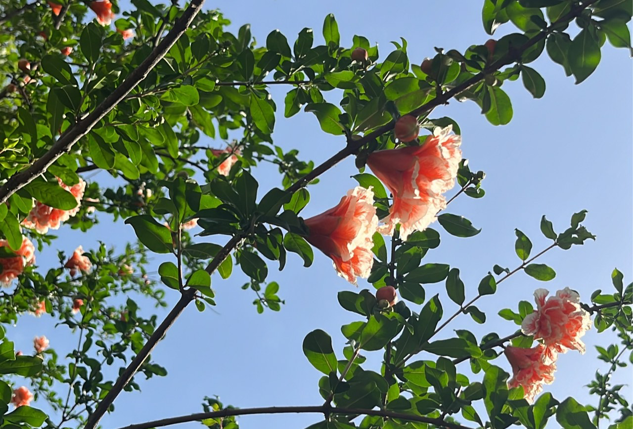 平遥·三天两晚