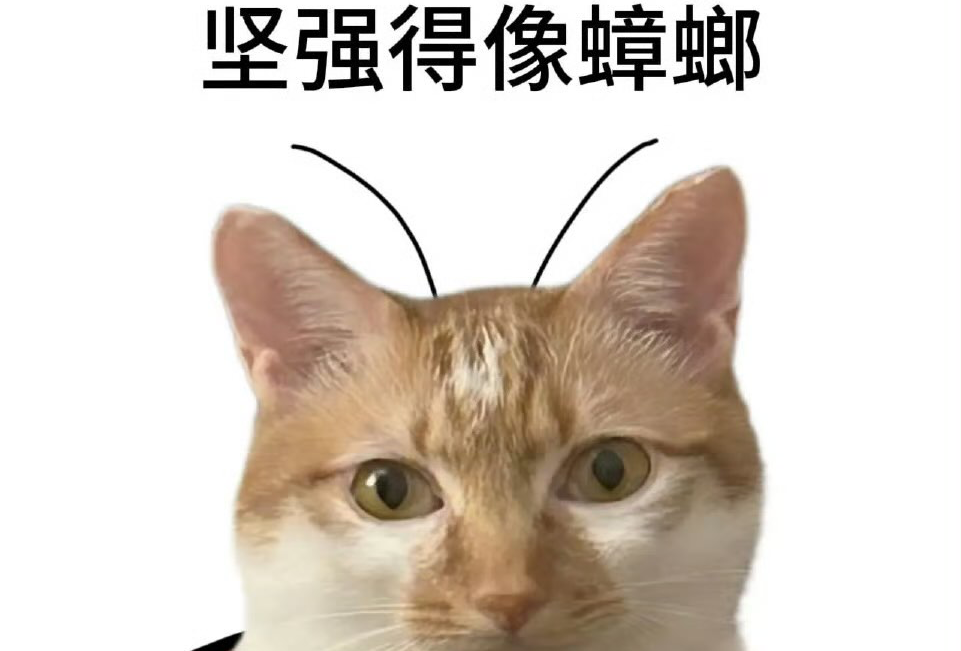 皮蛋溧阳泡澡大保健2.0
