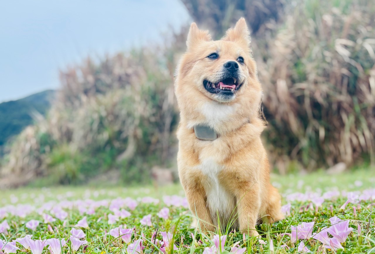 【正在环游中2】