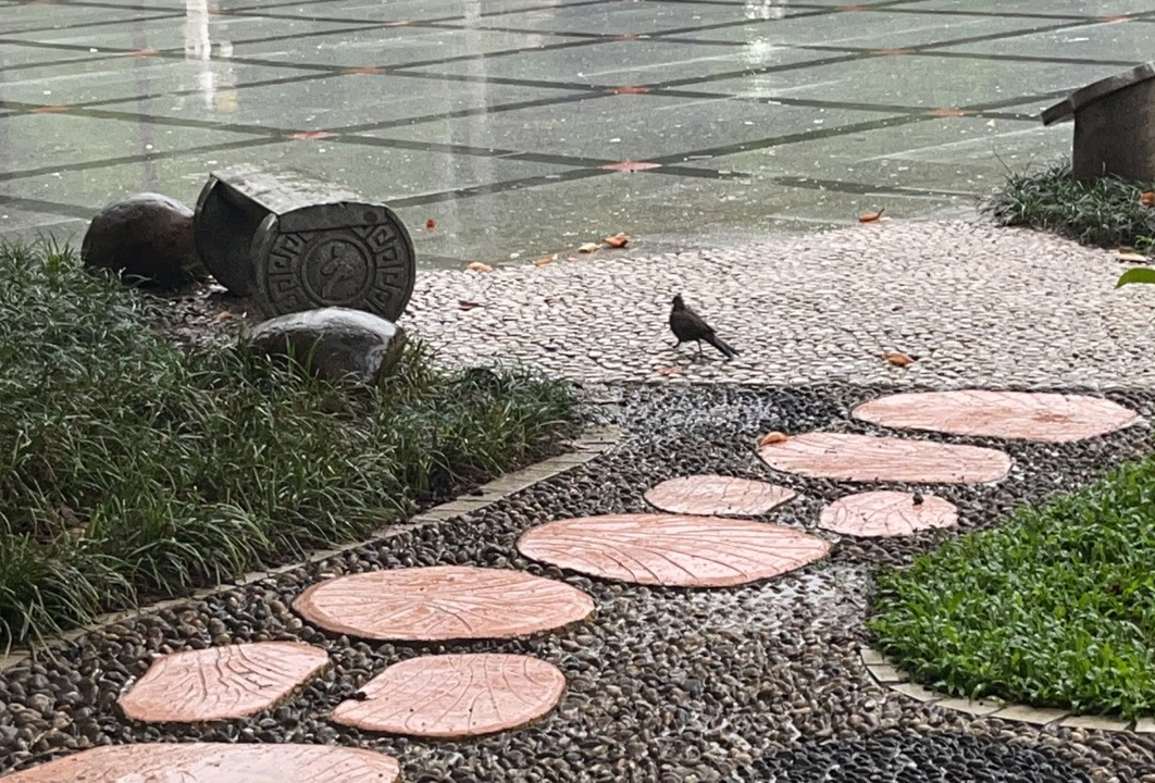 汕头