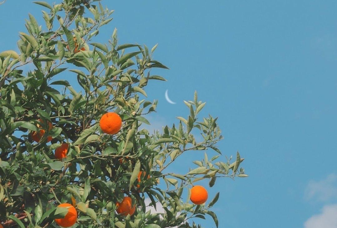 泰兰德的夏天永不停歇