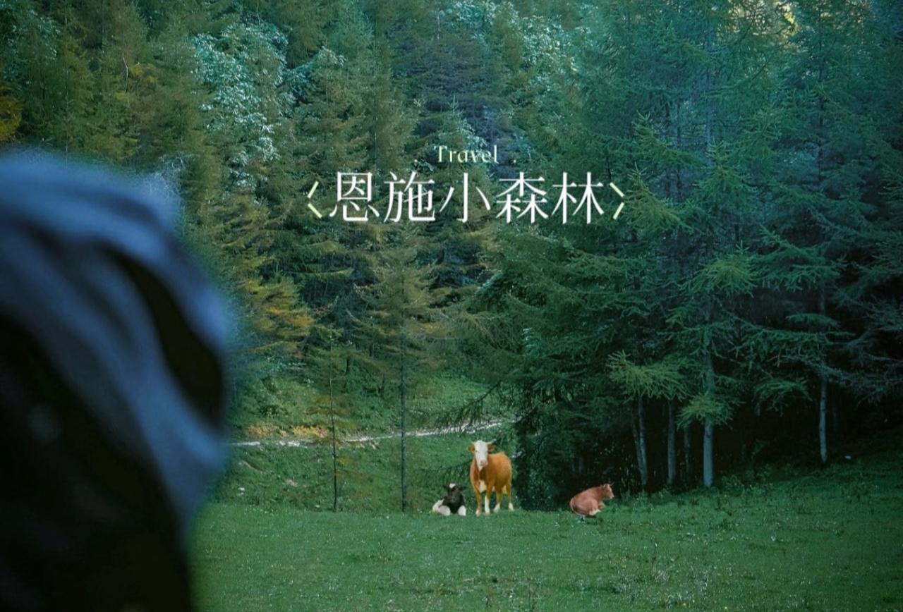 恩施4天3晚