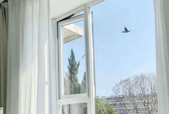 3天2夜天门山攻略