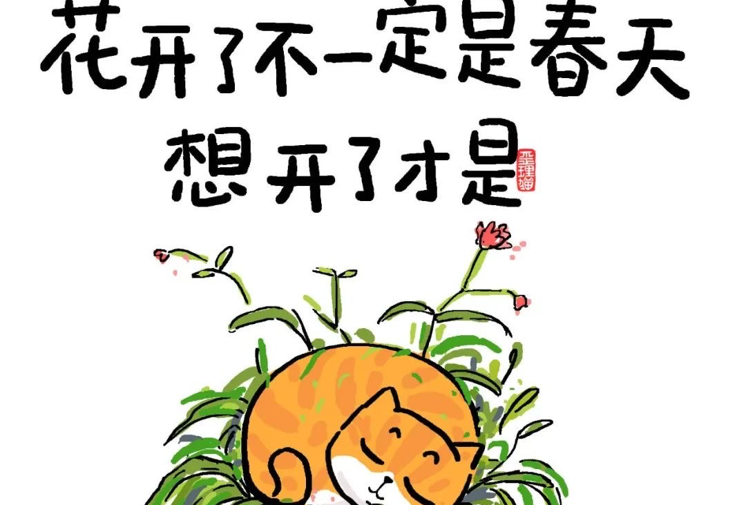 新疆西游