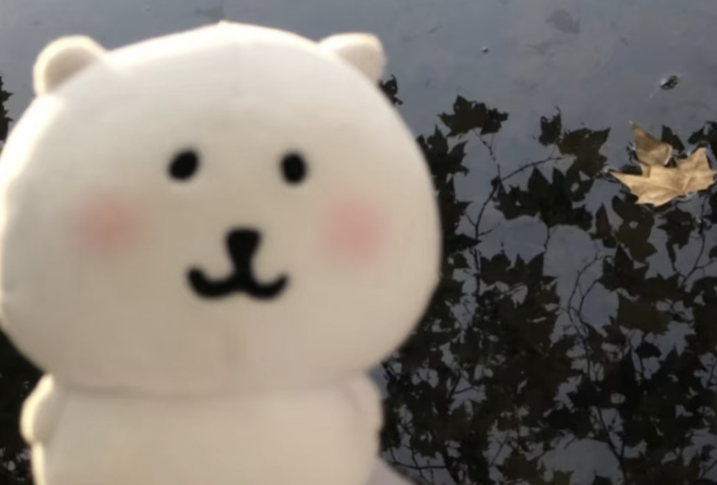 塞尔维亚（贝尔格莱德+诺维萨德）