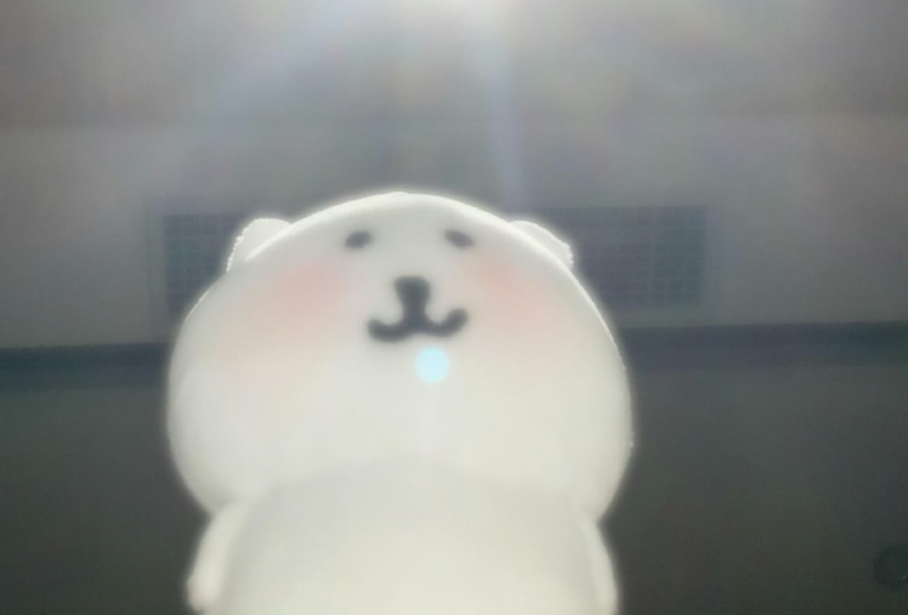 波黑（萨拉热窝+莫斯塔尔）