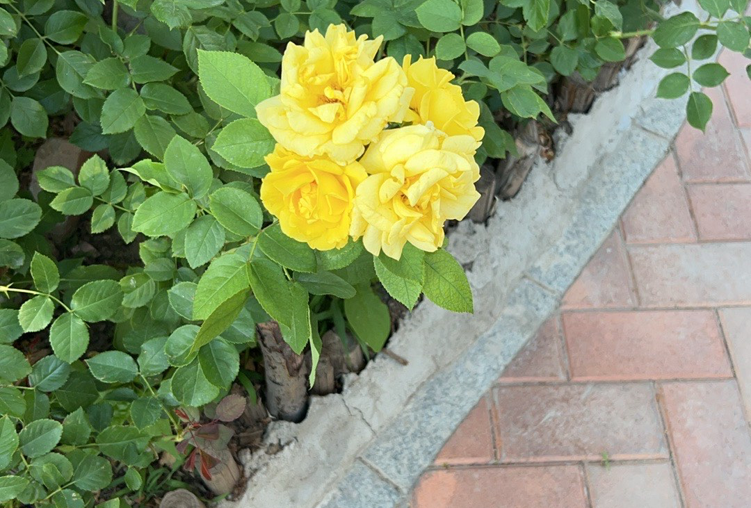 乌鲁木齐