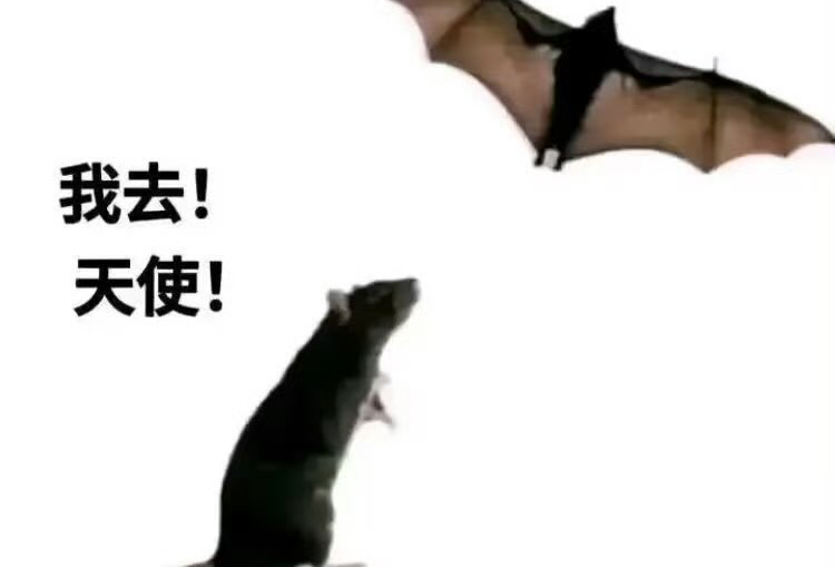 小欢北海