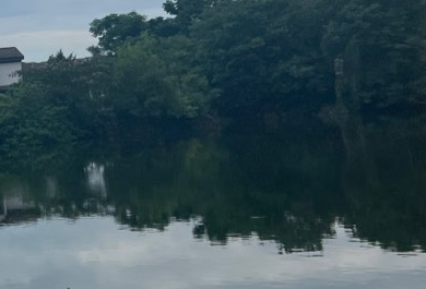 Tracypp的郴州地图