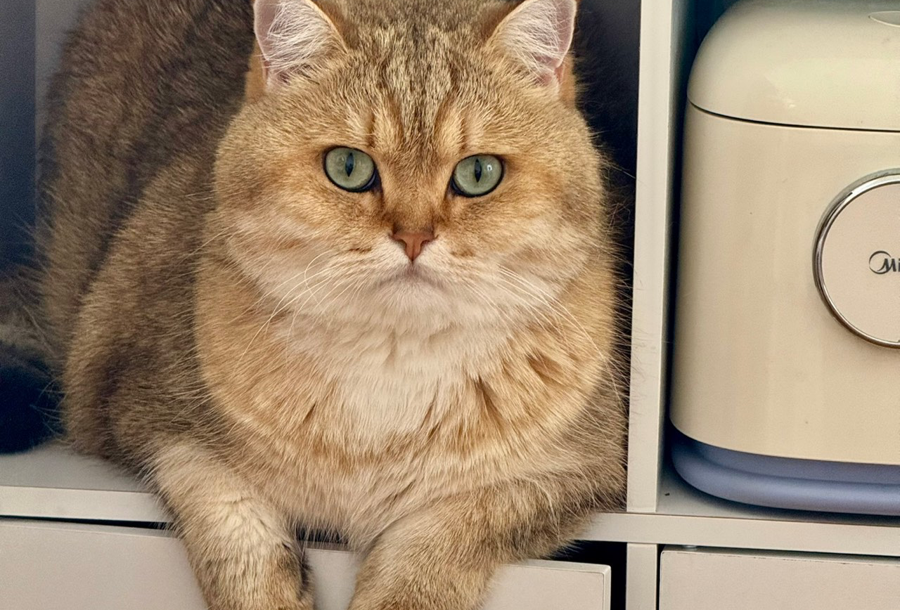 芒市 瑞丽 腾冲