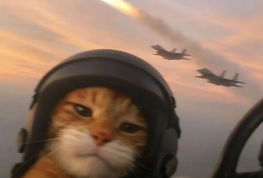 巴