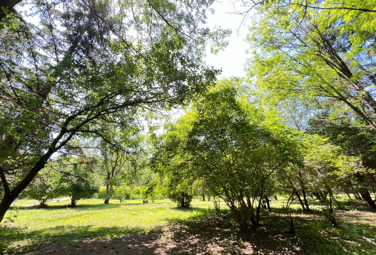 cyy 黑龙江 佳木斯 鹤岗