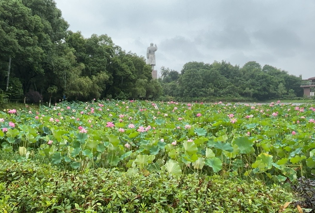 河南