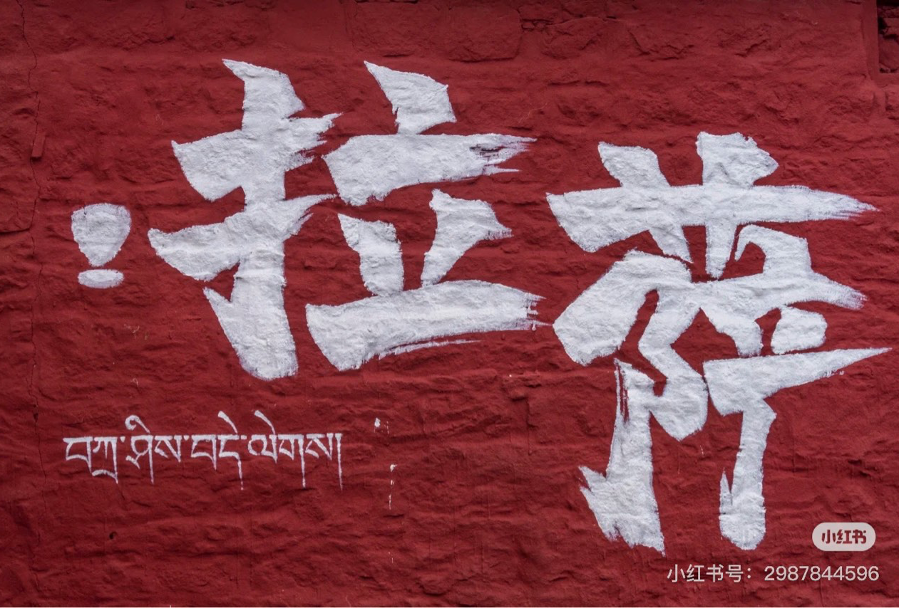 高老板IP