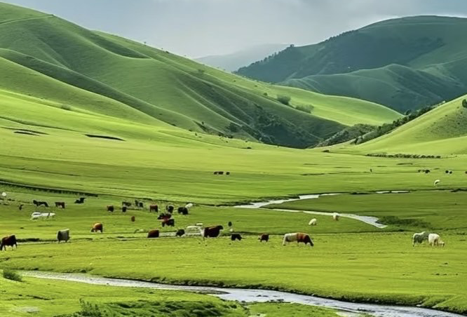 徐州到赤峰