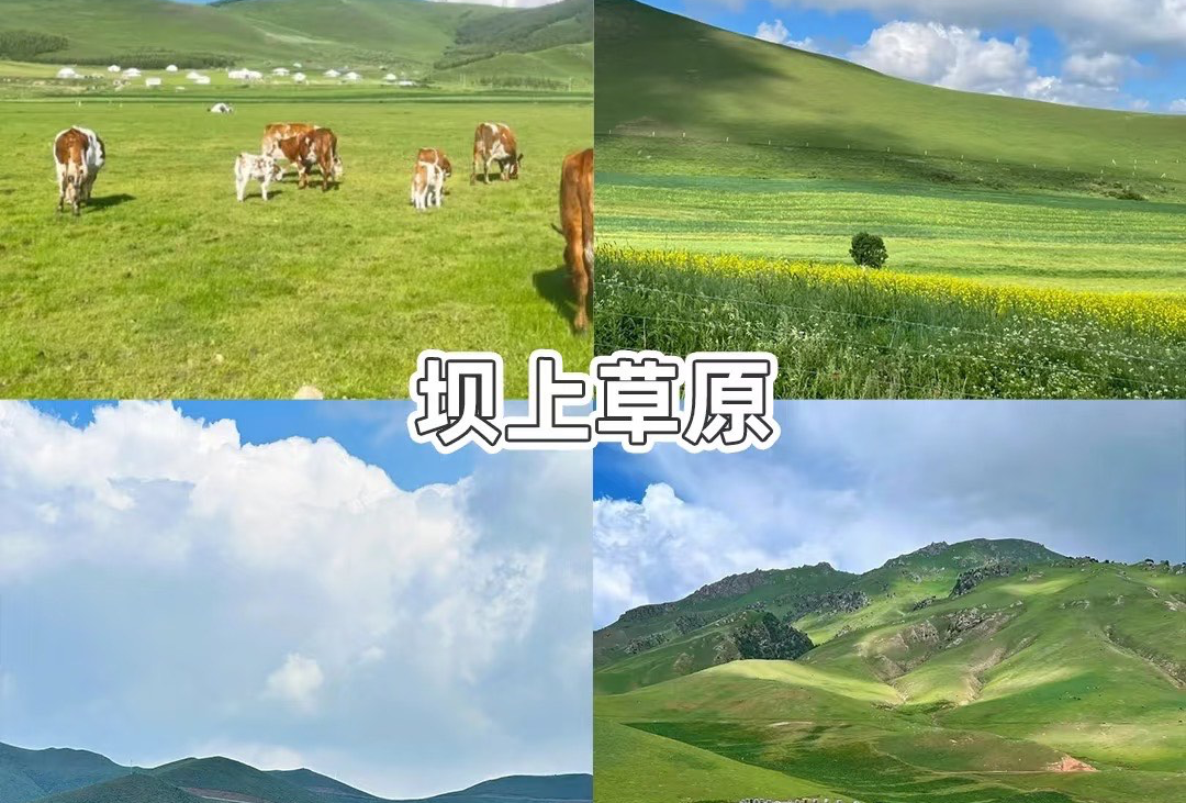 坝上草原