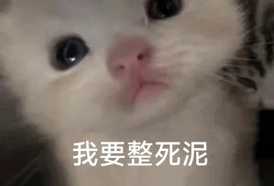 呼和浩特