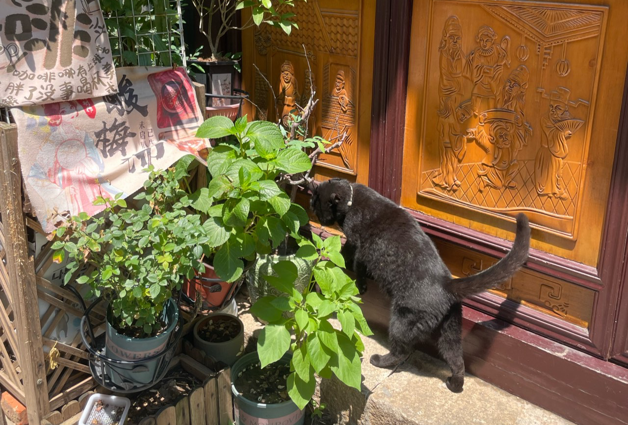 小嚸子的昆山地图