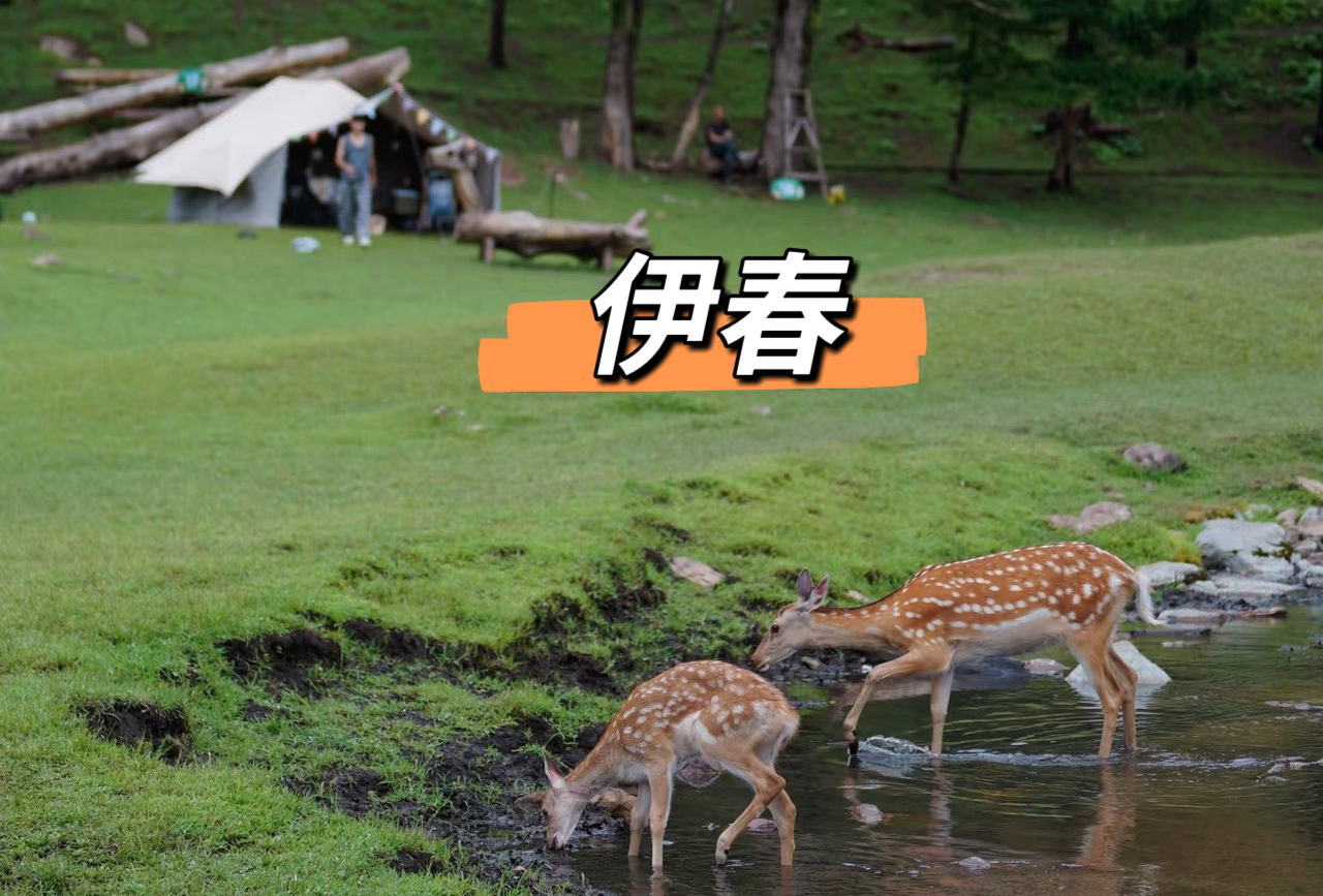 伊春