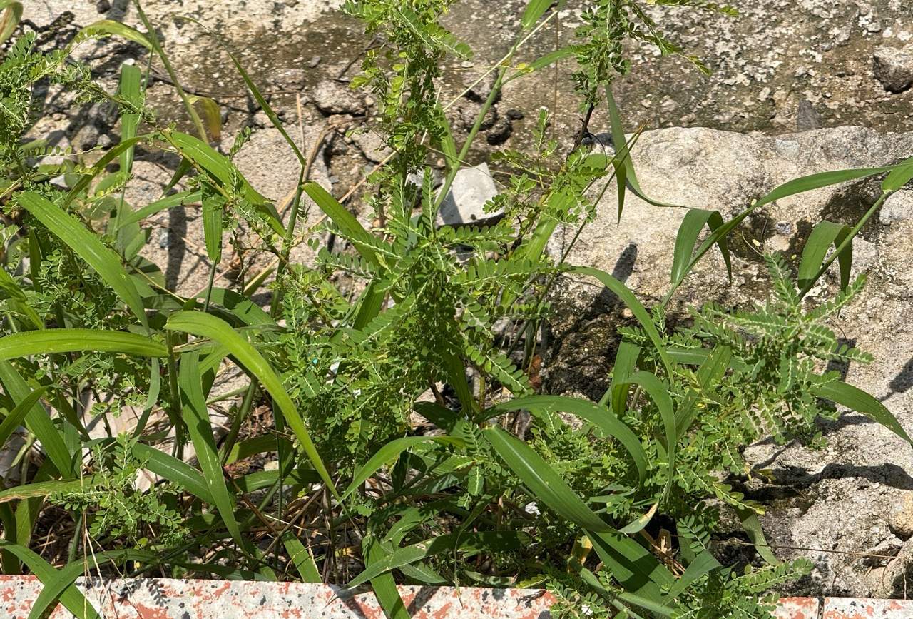 武功山两天一夜