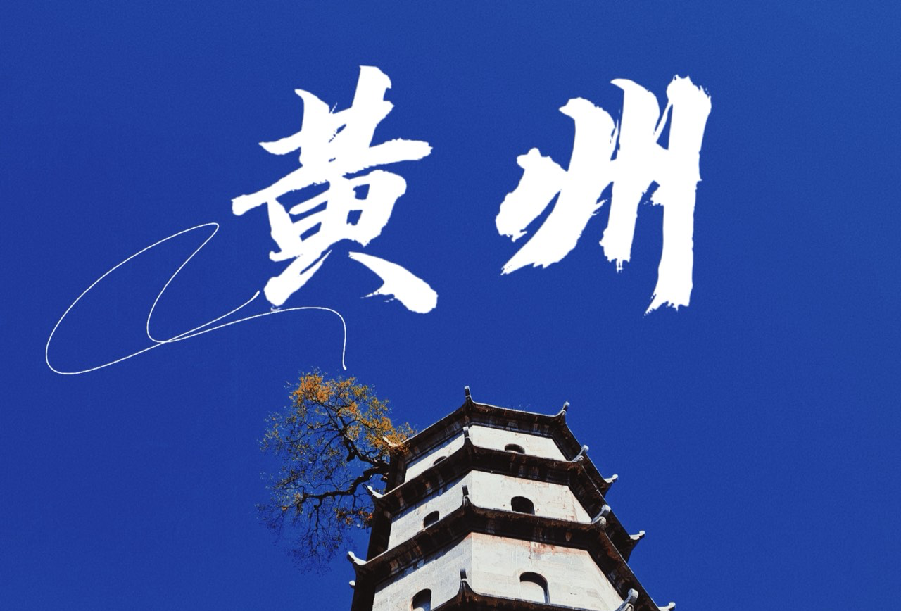 小汪小李和他们的朋友们