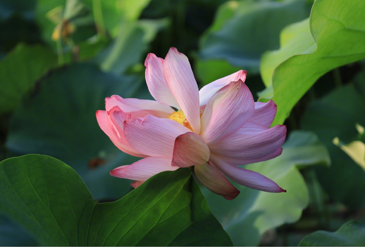 桂林、北海、涠洲岛