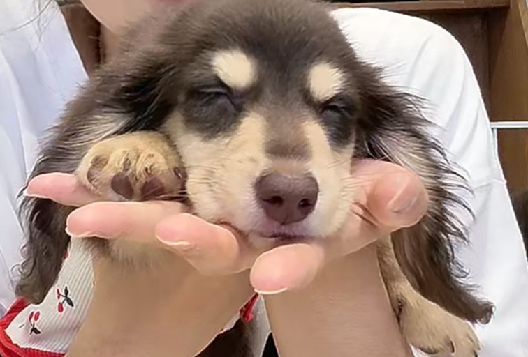 南疆