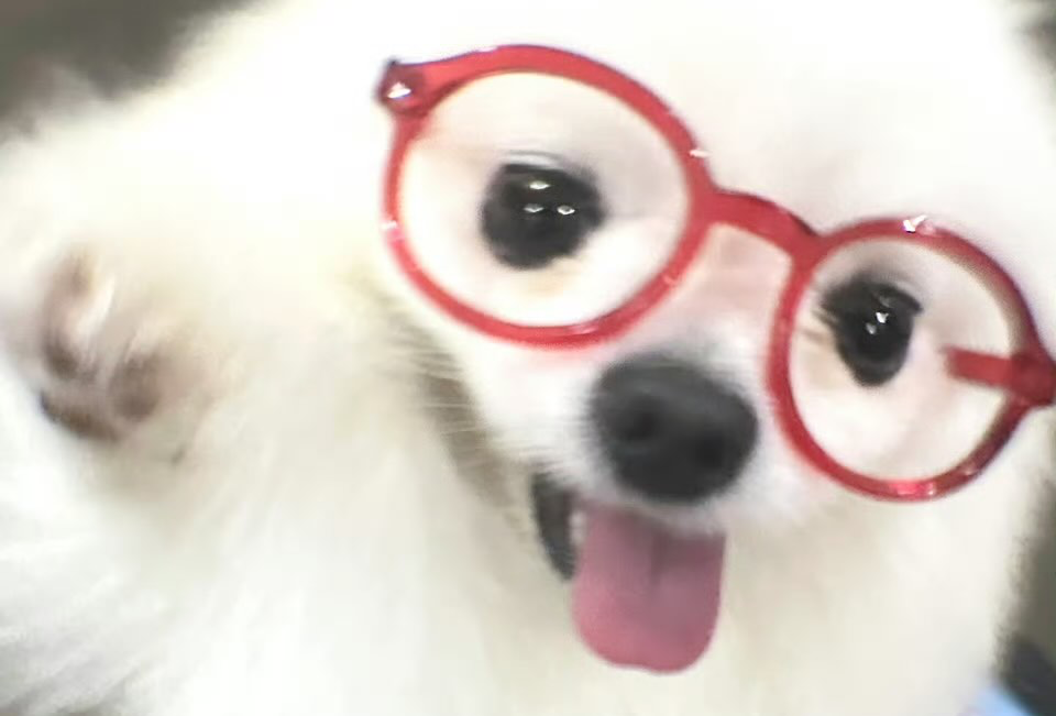 阜新