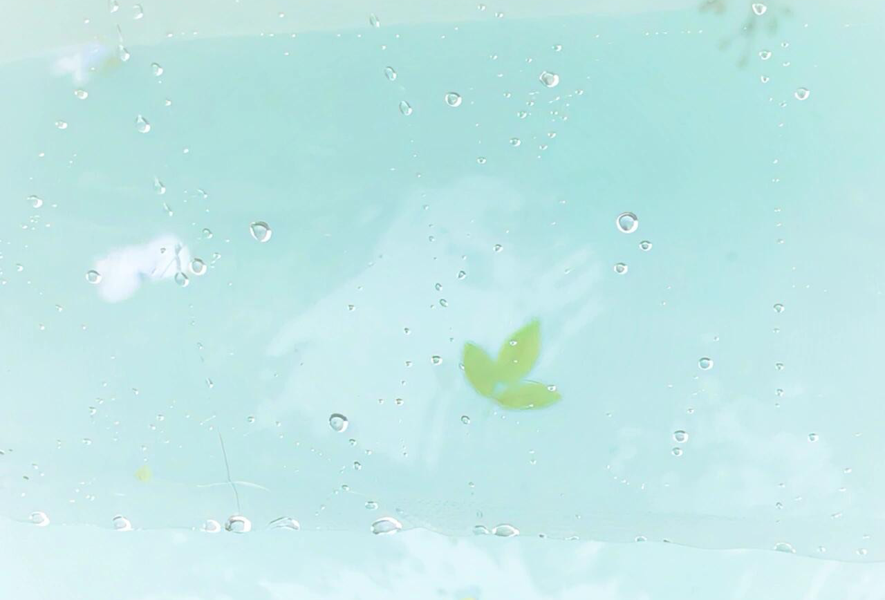 东莞