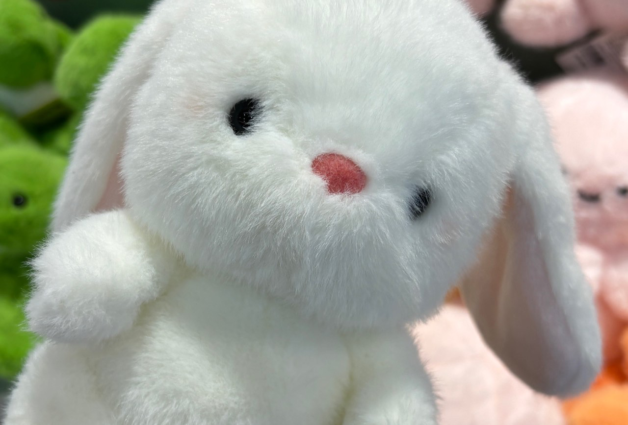 临沭好吃的美食