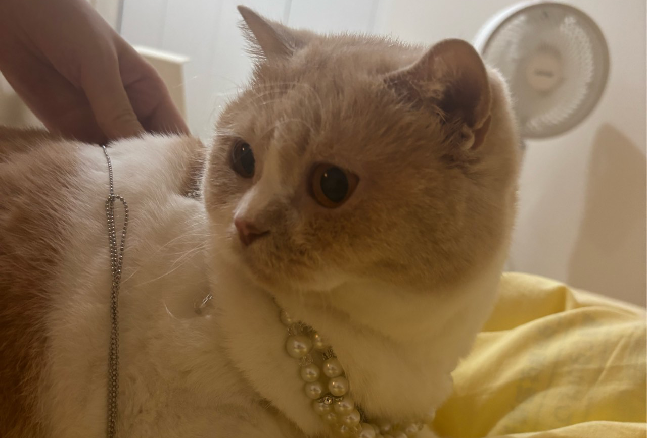 曼曼的三亚之旅