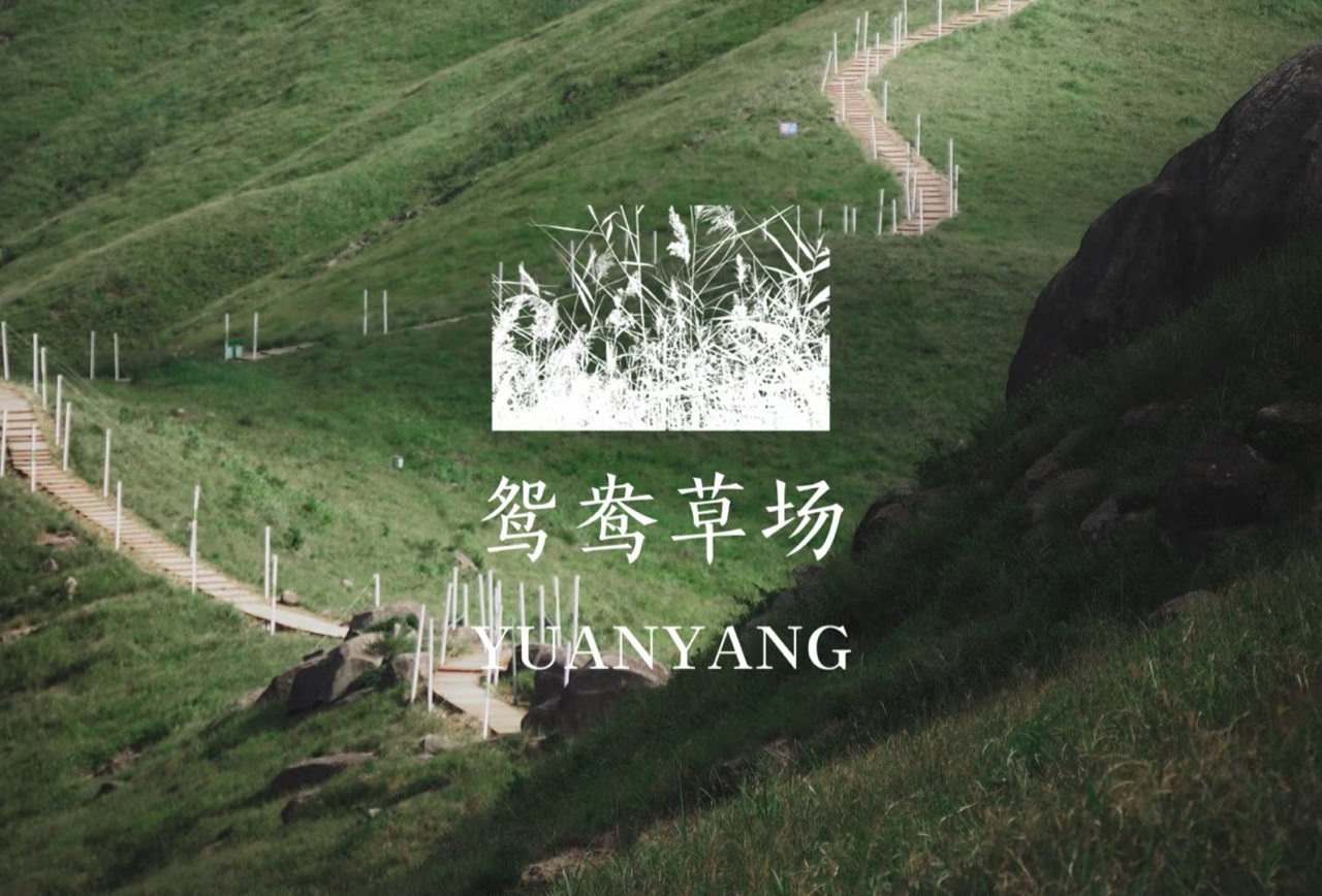 福鼎吃就完了！