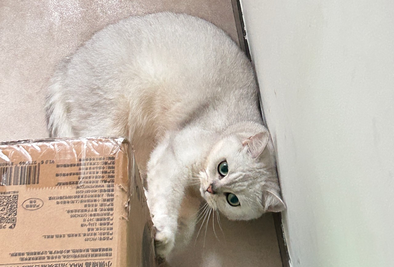 冲绳路线
