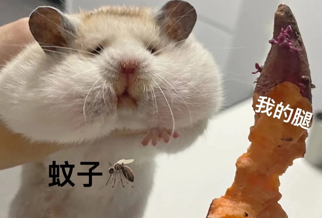 河内两天一夜