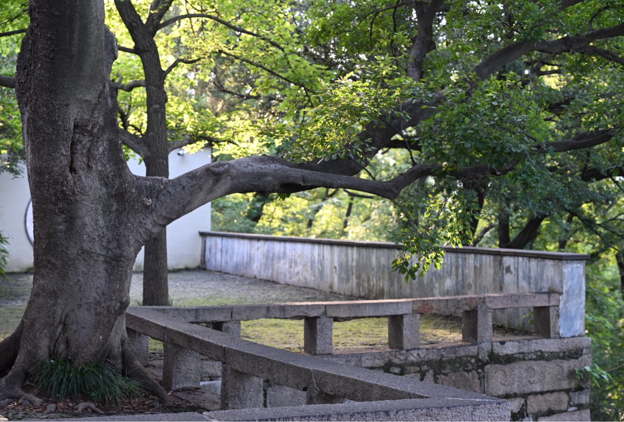 郑州-呼伦贝尓大草原