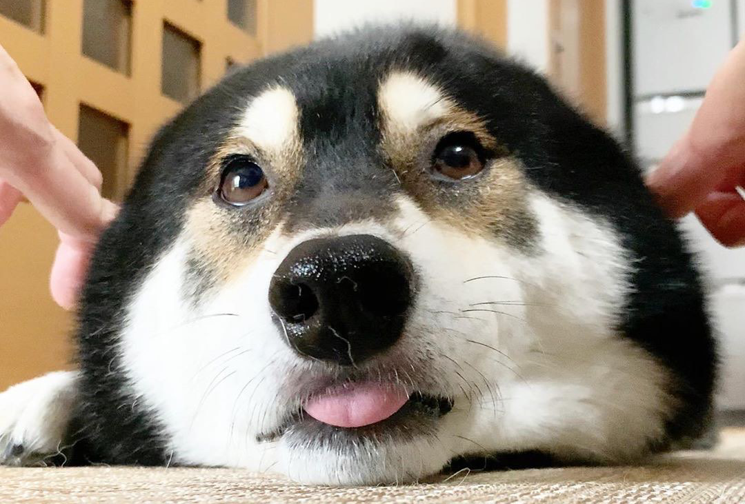东北赏秋自驾