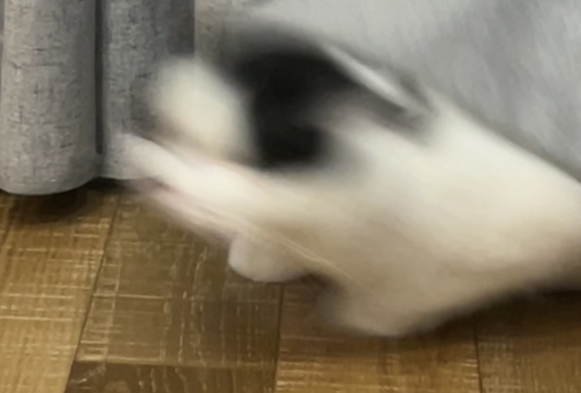 青甘
