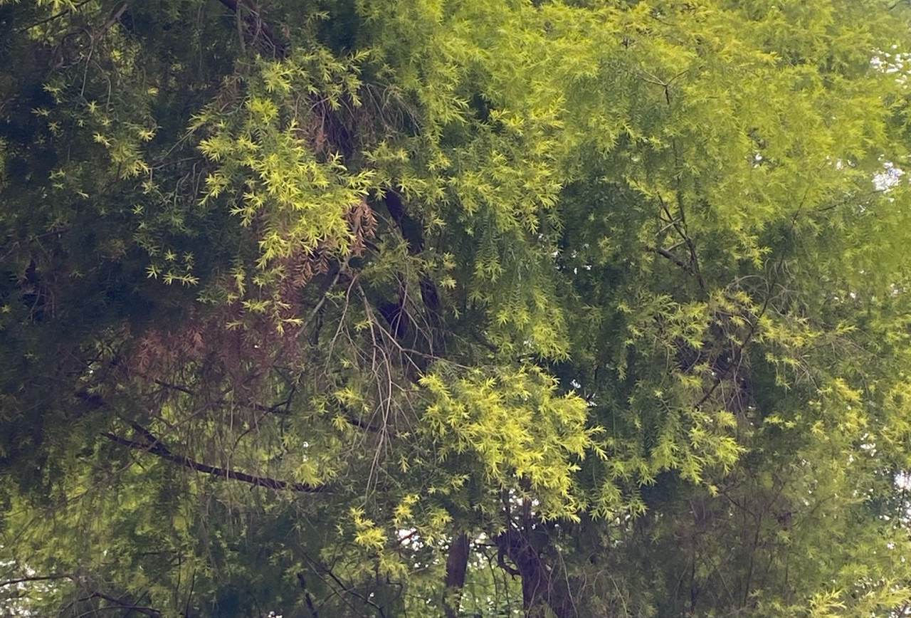 乡镇A++数据迁移位置