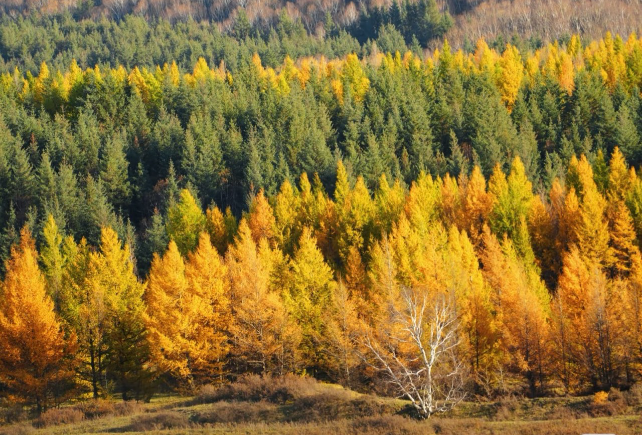 赤峰热阿线-达达线