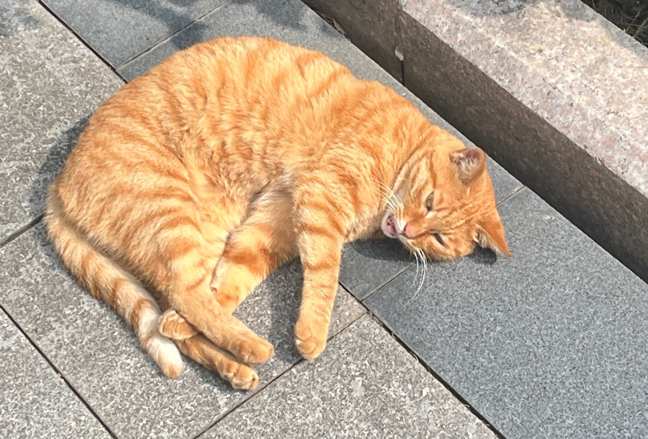 宣城