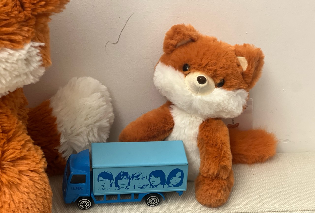 冰岛10天9晚环岛游