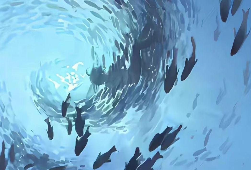 海岛糖