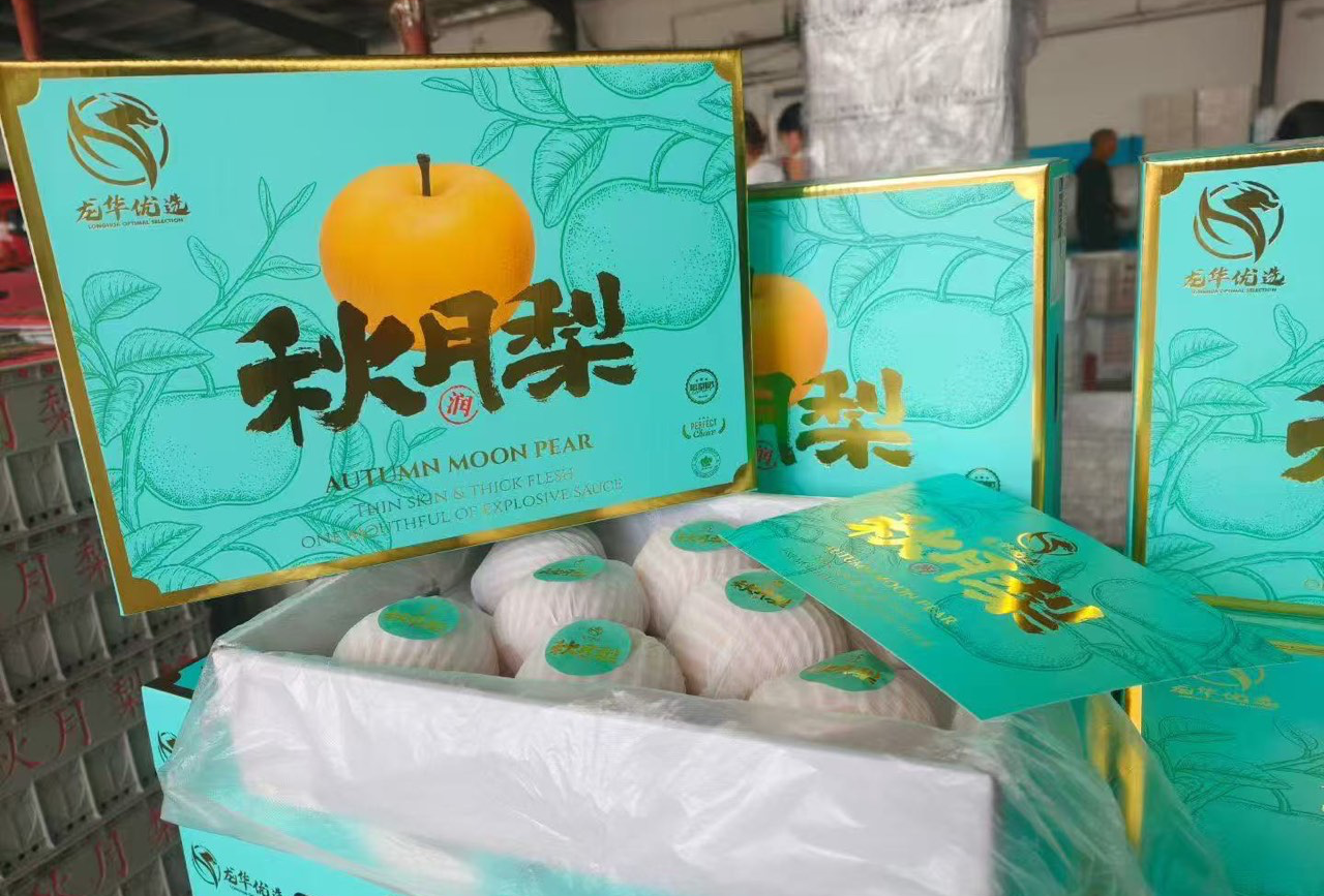 马小跳 15824281820 浙江省宁波市鄞州区四