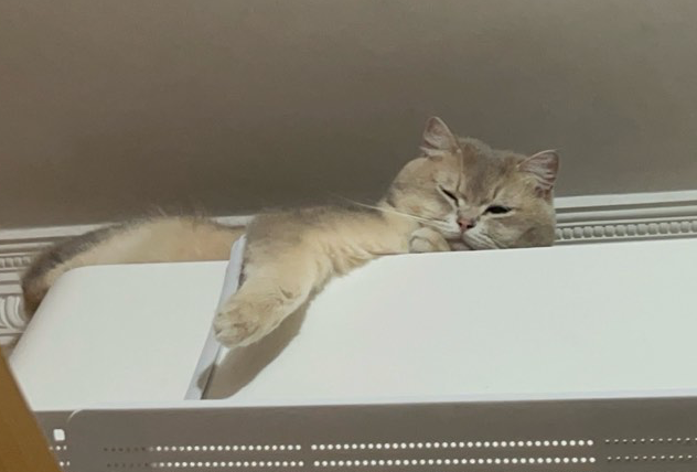郴州