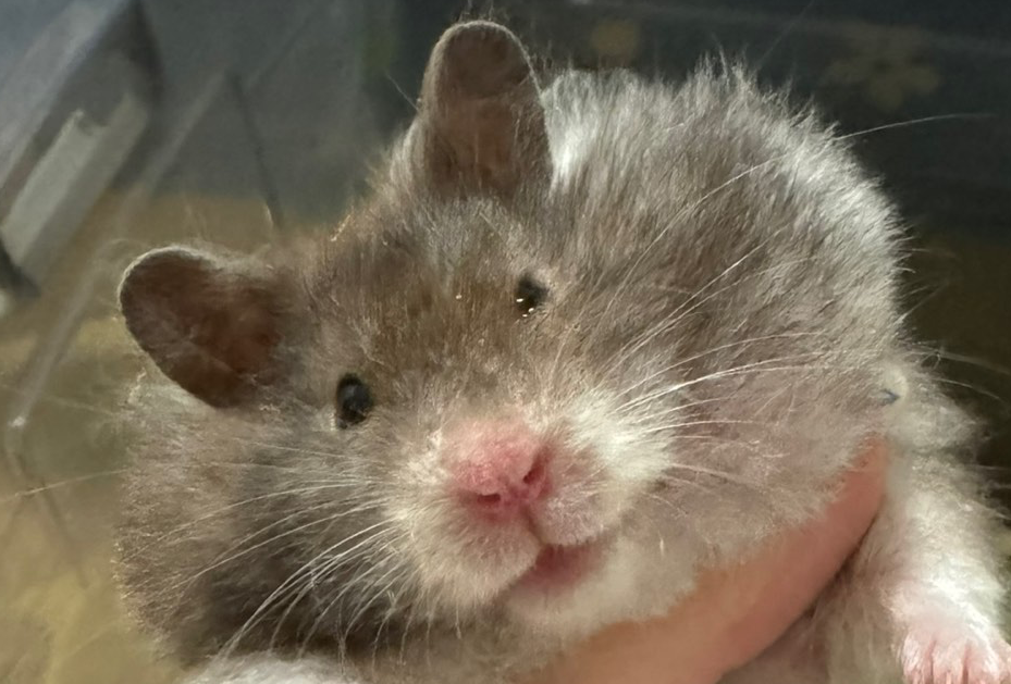 东京8日游 更新版