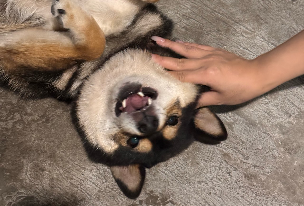 西双版纳