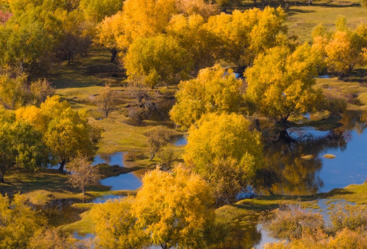 大兴安岭踏秋行动