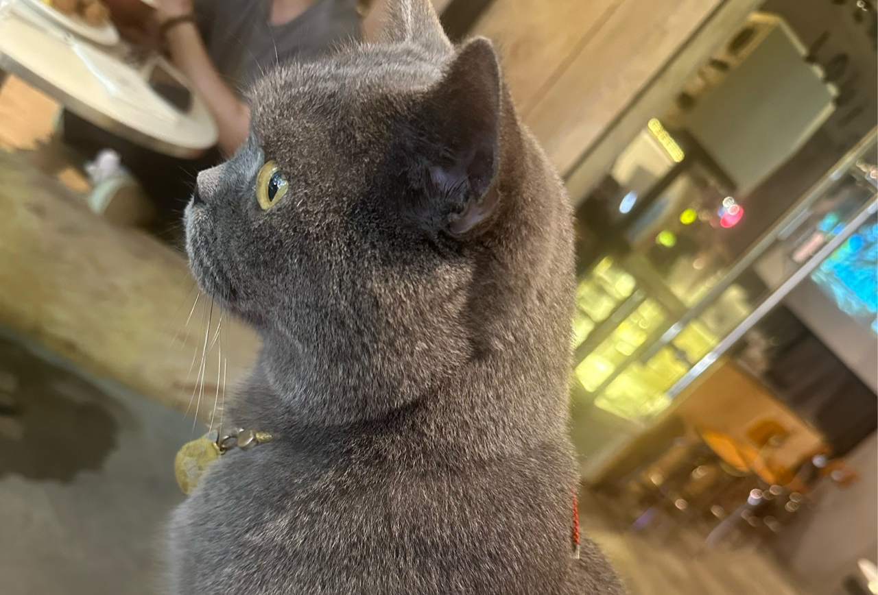 东京&富士山 7日游