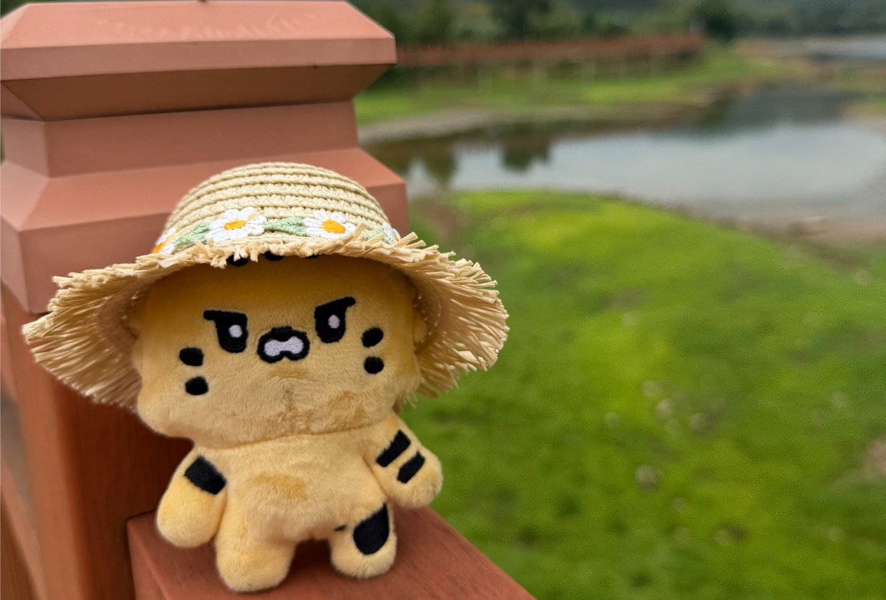 衢州-江山-开化