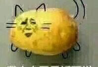 凯里